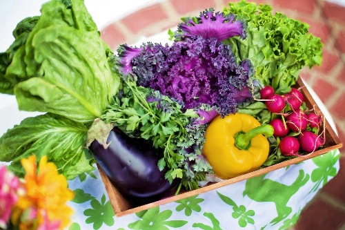 Alimentação anti-inflamatória